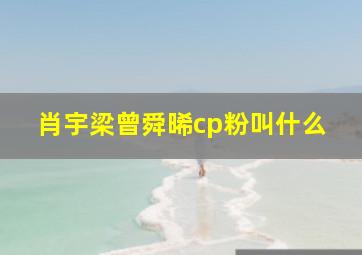 肖宇梁曾舜晞cp粉叫什么