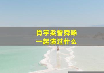 肖宇梁曾舜晞一起演过什么