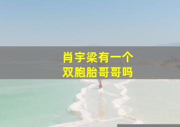 肖宇梁有一个双胞胎哥哥吗