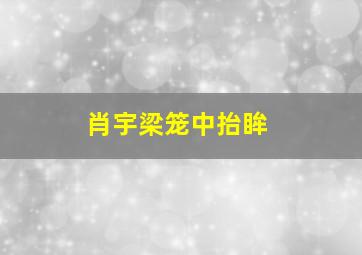 肖宇梁笼中抬眸