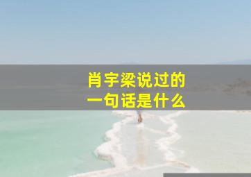 肖宇梁说过的一句话是什么