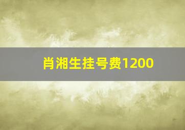 肖湘生挂号费1200