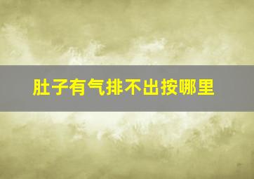 肚子有气排不出按哪里