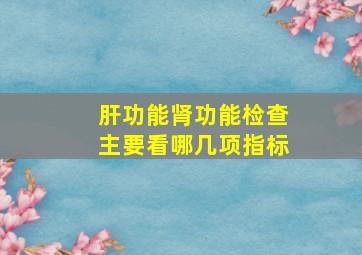 肝功能肾功能检查主要看哪几项指标