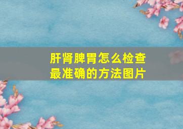 肝肾脾胃怎么检查最准确的方法图片