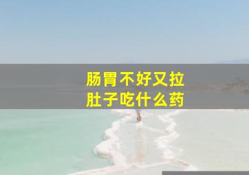 肠胃不好又拉肚子吃什么药