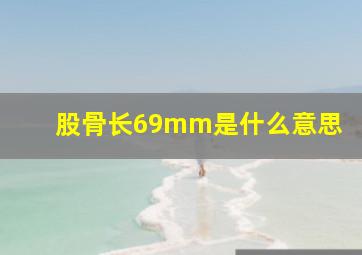 股骨长69mm是什么意思