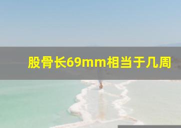 股骨长69mm相当于几周