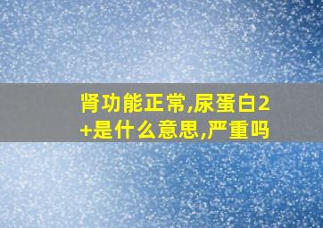 肾功能正常,尿蛋白2+是什么意思,严重吗