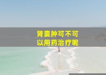 肾囊肿可不可以用药治疗呢