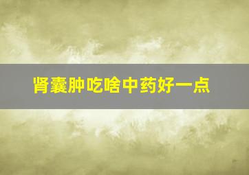 肾囊肿吃啥中药好一点