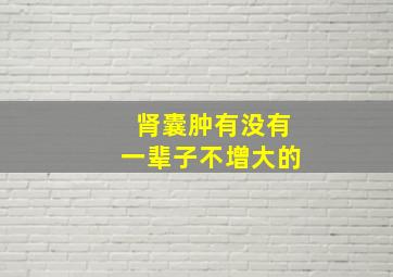 肾囊肿有没有一辈子不增大的