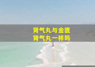 肾气丸与金匮肾气丸一样吗