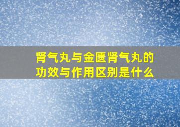 肾气丸与金匮肾气丸的功效与作用区别是什么