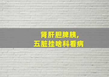 肾肝胆脾胰,五脏挂啥科看病