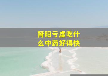 肾阳亏虚吃什么中药好得快