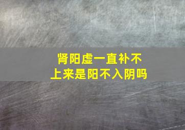 肾阳虚一直补不上来是阳不入阴吗