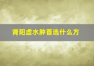 肾阳虚水肿首选什么方