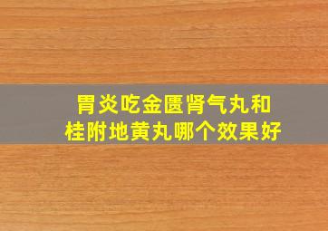 胃炎吃金匮肾气丸和桂附地黄丸哪个效果好