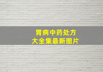 胃病中药处方大全集最新图片