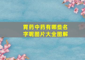 胃药中药有哪些名字呢图片大全图解