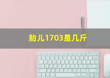 胎儿1703是几斤