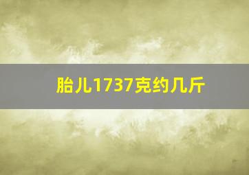 胎儿1737克约几斤