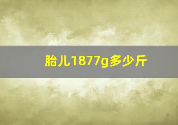 胎儿1877g多少斤