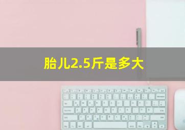 胎儿2.5斤是多大