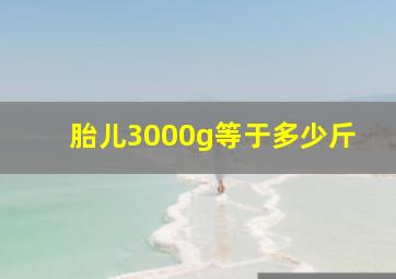 胎儿3000g等于多少斤