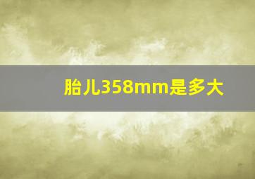 胎儿358mm是多大