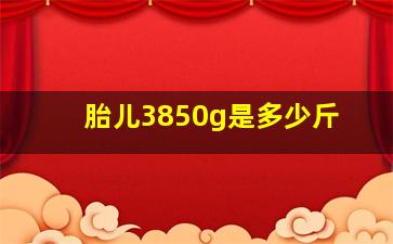 胎儿3850g是多少斤