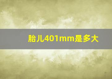 胎儿401mm是多大