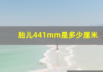 胎儿441mm是多少厘米