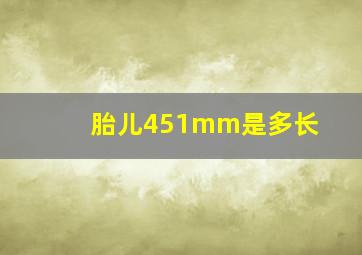 胎儿451mm是多长