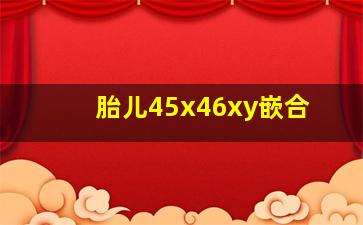 胎儿45x46xy嵌合