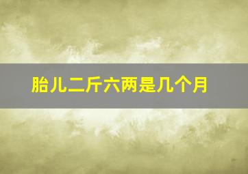 胎儿二斤六两是几个月