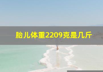 胎儿体重2209克是几斤