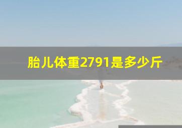 胎儿体重2791是多少斤