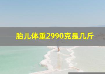 胎儿体重2990克是几斤