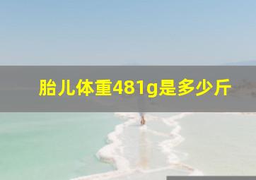 胎儿体重481g是多少斤