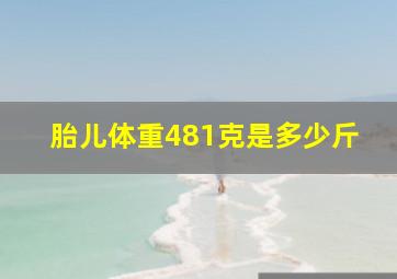 胎儿体重481克是多少斤