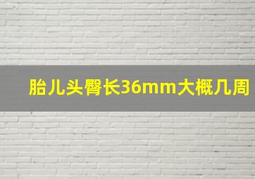 胎儿头臀长36mm大概几周