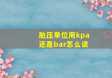 胎压单位用kpa还是bar怎么读