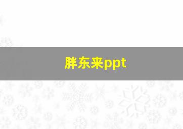 胖东来ppt