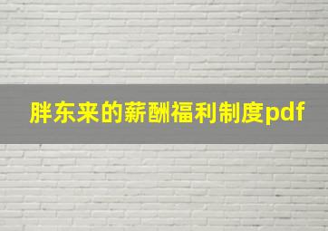 胖东来的薪酬福利制度pdf