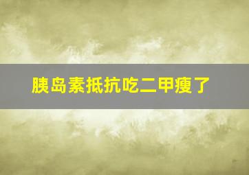 胰岛素抵抗吃二甲瘦了