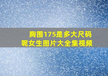 胸围175是多大尺码呢女生图片大全集视频