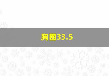 胸围33.5