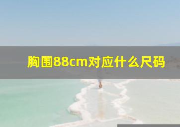 胸围88cm对应什么尺码